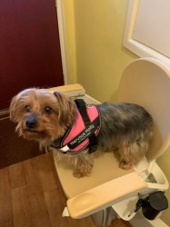 Castle Comfort Stairlifts Review by Chrissy